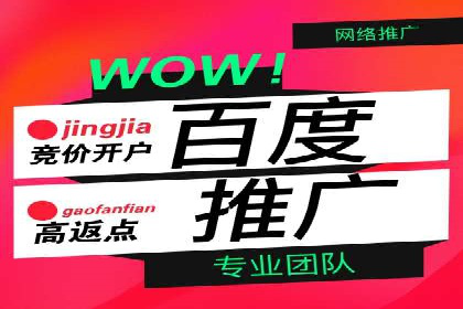 SEM服务公司成功案例解读
